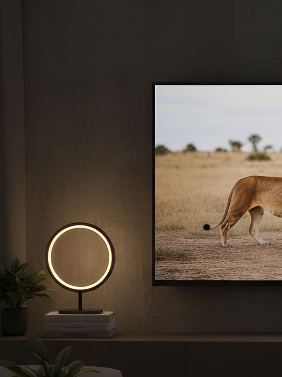 The Aura Ring Lamp